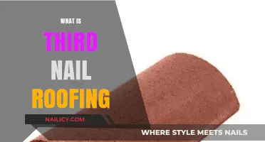 Understanding Third Nail Roofing: Benefits, Techniques, and Applications