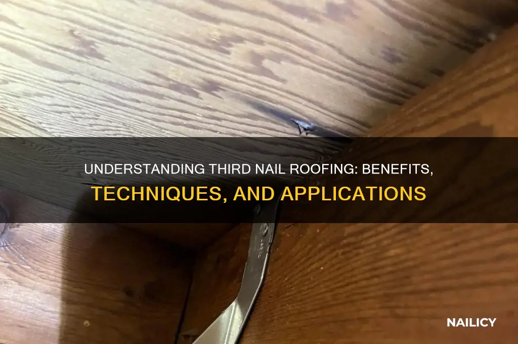 what is third nail roofing