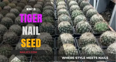 Tiger Nail Seed: Unveiling the Secrets of This Unique Plant
