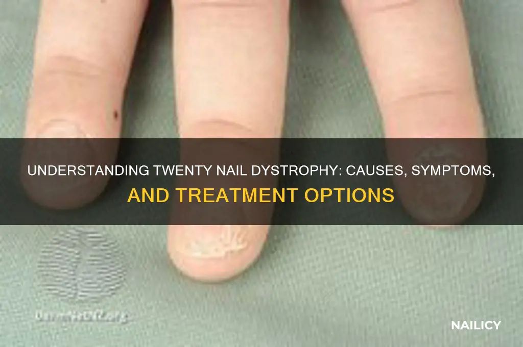 what is twenty nail dystrophy