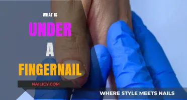 Unveiling the Hidden World: What Lies Beneath Your Fingernails