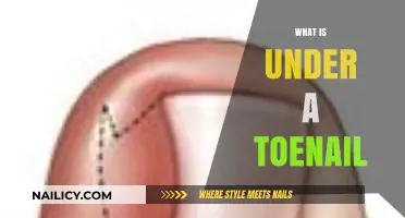 Unveiling the Hidden World: What Lies Beneath Your Toenail