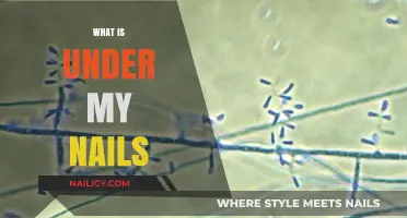 Unveiling the Hidden World: What's Really Under Your Nails?