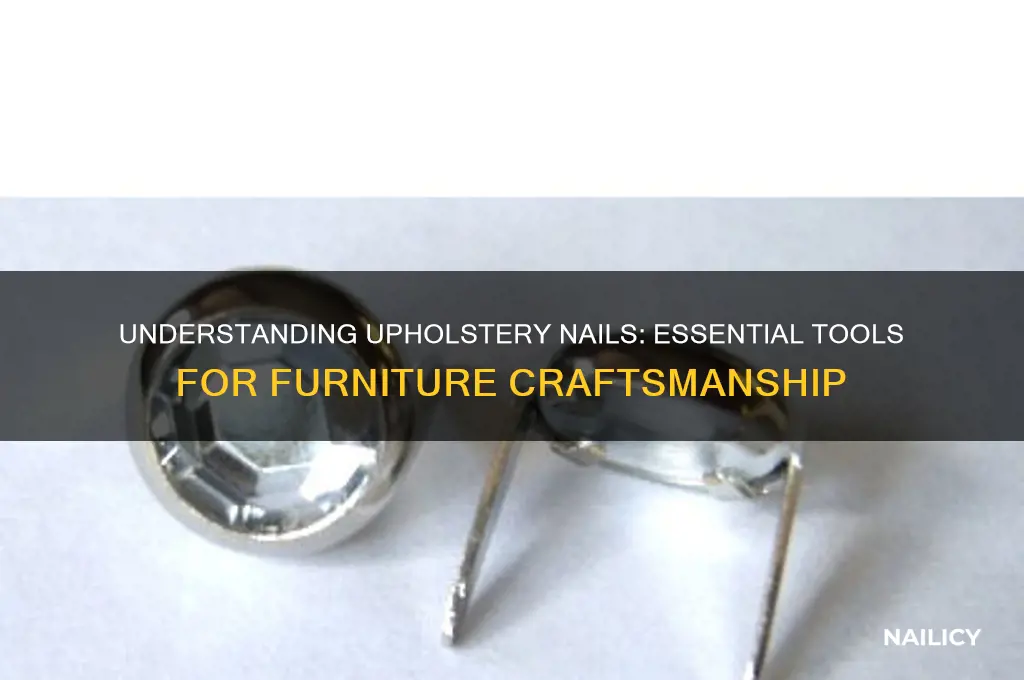 what is upholstery nail