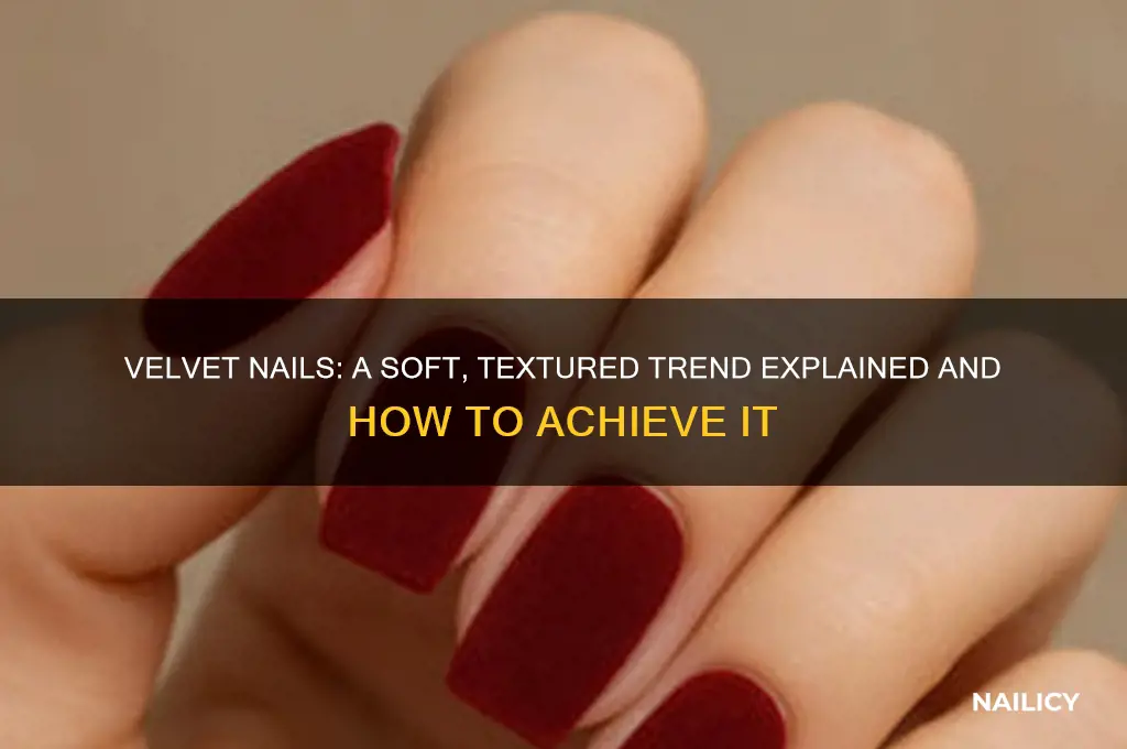 what is velvet nails