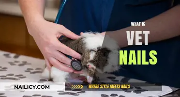 Understanding Vet Nails: Purpose, Benefits, and Application for Pets