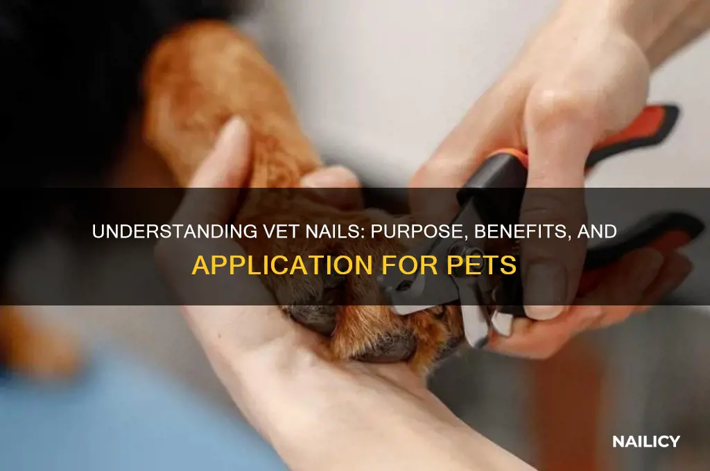 what is vet nails