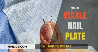 Understanding the Viable Nail Plate: Structure, Function, and Health Insights