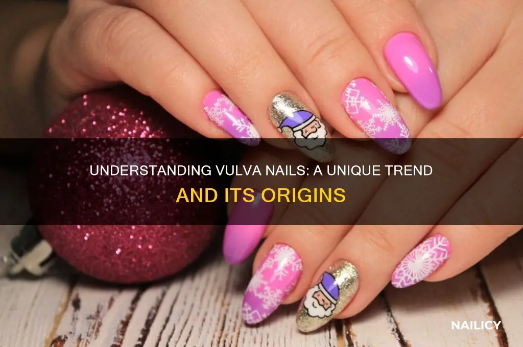 what is vulva nails