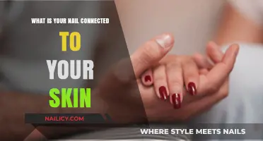 Understanding the Skin-Nail Connection: How Your Nails Attach to Skin