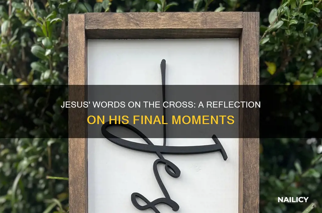 what jesus said when the nail went in