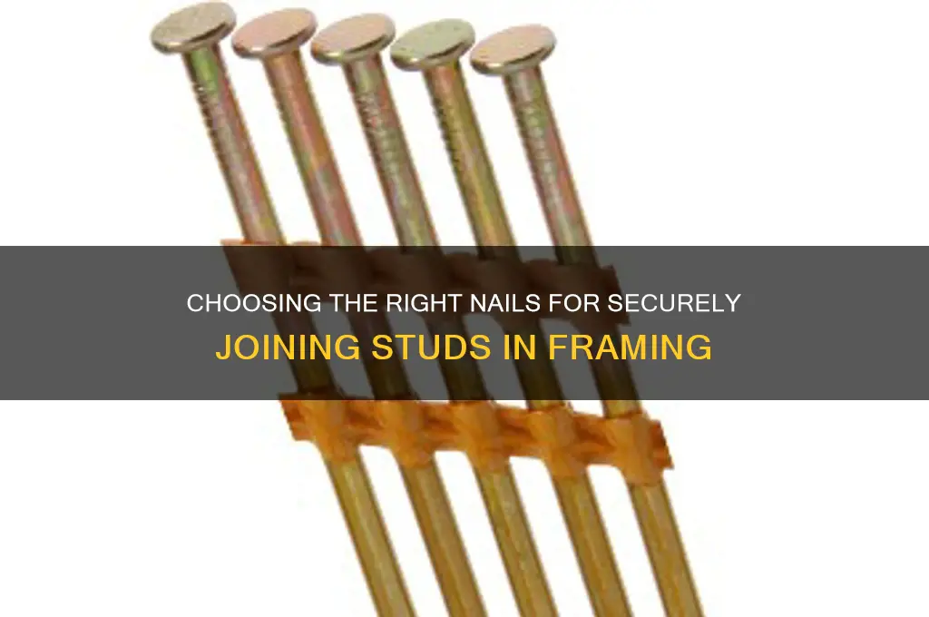 what kind if nails to join studs