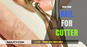 Choosing the Right Nails for Your Cutter: A Comprehensive Guide