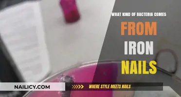 Iron Nails and Bacteria: Unveiling the Microbial Growth They Harbor