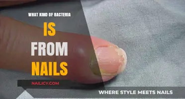 Unseen Nail Bacteria: Types, Risks, and Hygiene Tips Revealed
