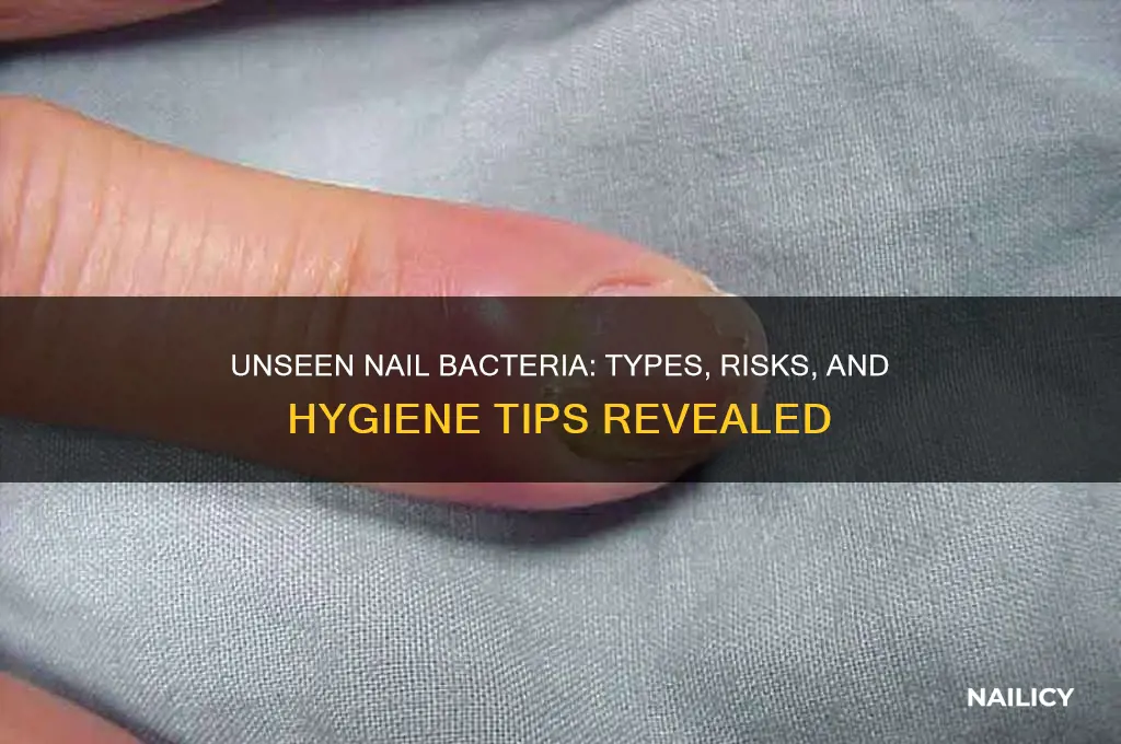 what kind of bacteria is from nails