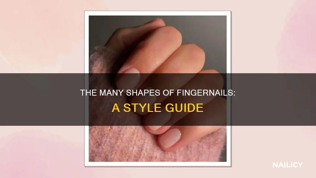 what kind of finger nails are there
