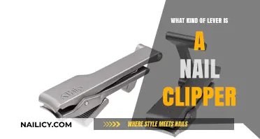 Nail Clippers: Understanding the Lever Type Behind This Handy Tool