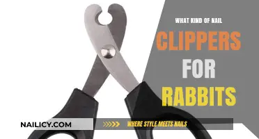 Choosing the Right Nail Clippers for Your Rabbit's Safety and Comfort