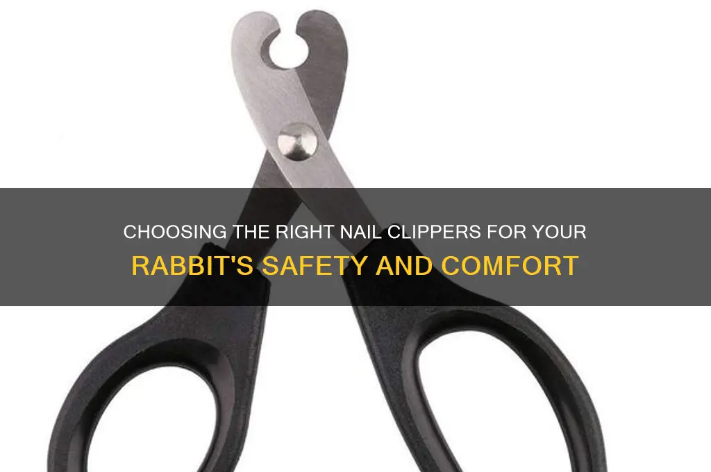 what kind of nail clippers for rabbits