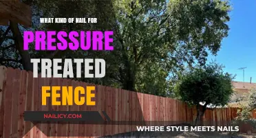 Choosing the Right Nails for Pressure-Treated Fences: A Guide