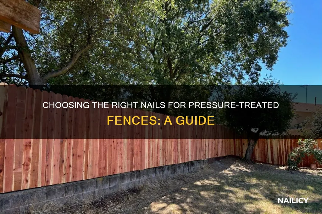 what kind of nail for pressure treated fence