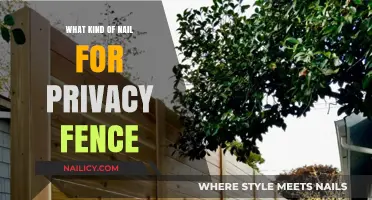 Choosing the Right Nails for Your Privacy Fence Installation