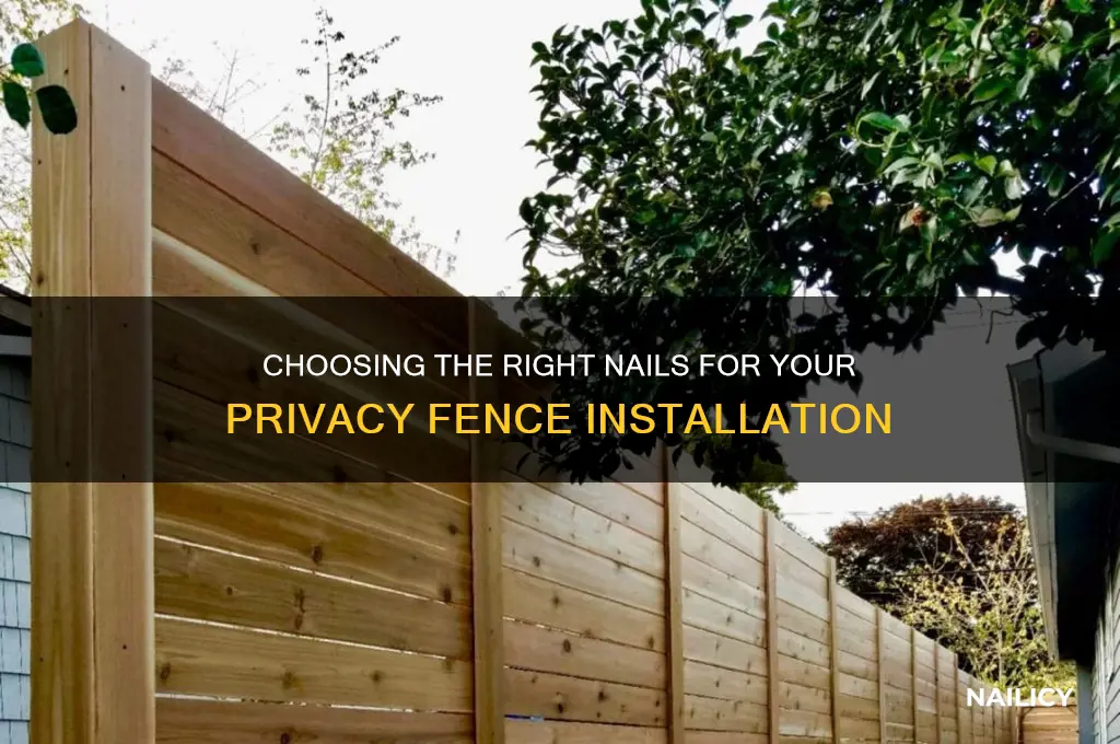 what kind of nail for privacy fence