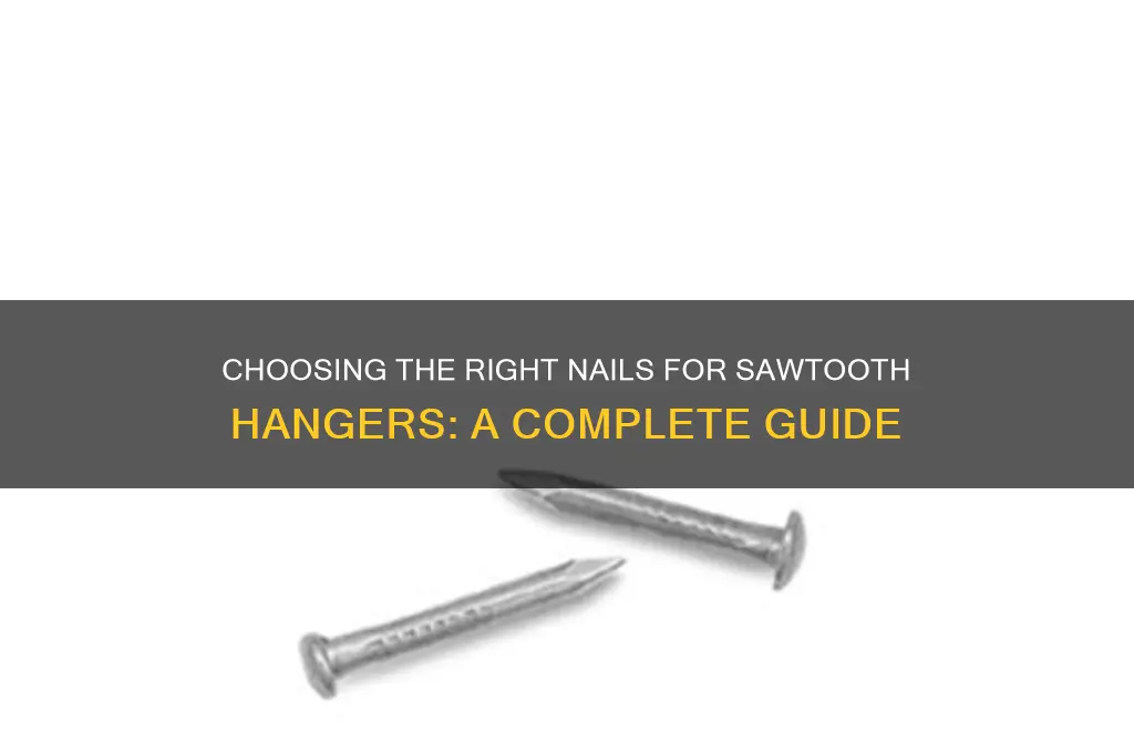 what kind of nail for sawtooth hanger