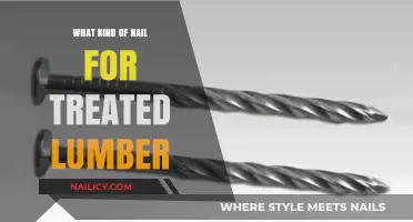 Best Nails for Treated Lumber: Types, Uses, and Expert Tips