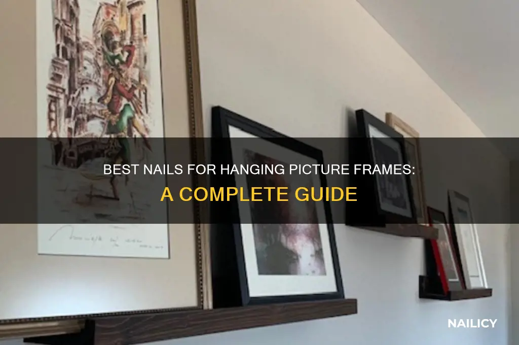 what kind of nail holds a picture frame