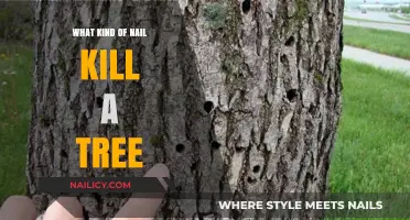 How a Single Nail Can Kill a Tree: Surprising Facts Revealed