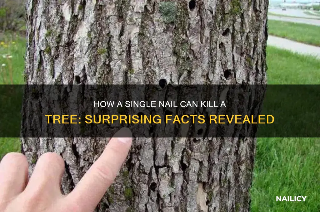 what kind of nail kill a tree
