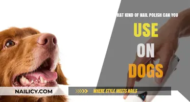 Safe and Stylish: Choosing the Right Nail Polish for Your Dog