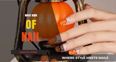 Choosing the Right Nail Type for Your DIY Project: A Guide