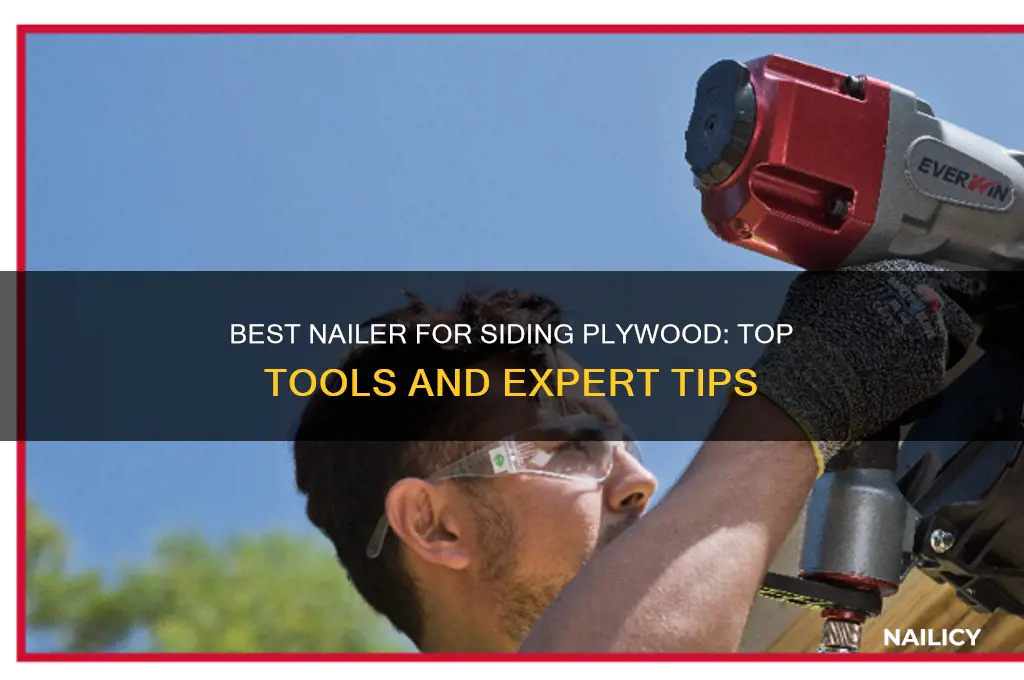 what kind of nailer for siding plywood