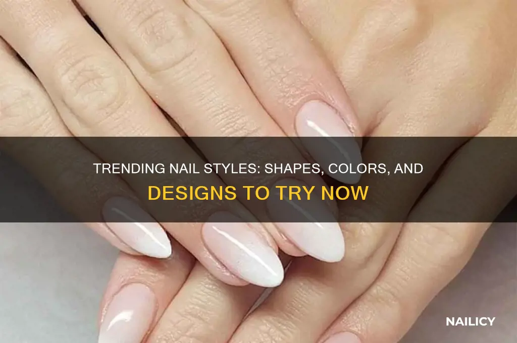 what kind of nails are in style