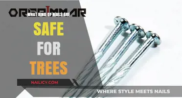 Tree-Friendly Nails: Safe Options for Hanging Decorations in Trees