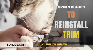 Selecting the Right Nails for Reinstalling Trim