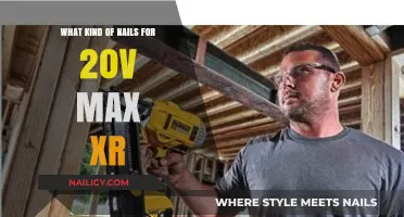 Best Nails for 20V Max XR Tools: A Comprehensive Guide