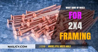 Best Nails for 2x4 Framing: Types, Sizes, and Expert Tips
