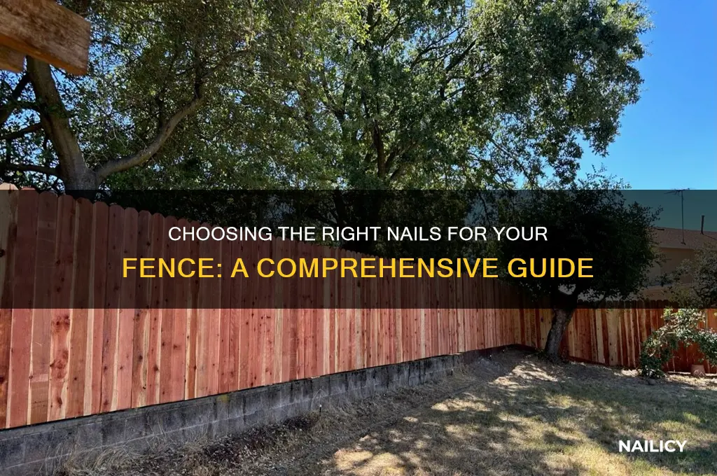 what kind of nails for a fence