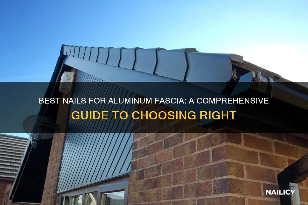 what kind of nails for aluminum fascia