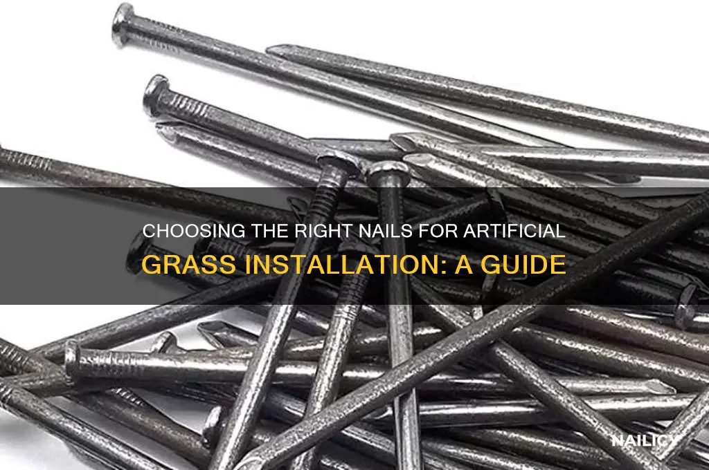 what kind of nails for artificial grass