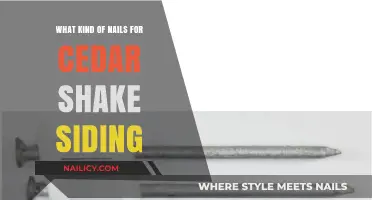 Best Nails for Cedar Shake Siding: Types, Sizes, and Installation Tips
