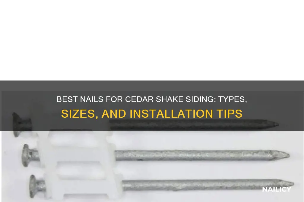 what kind of nails for cedar shake siding
