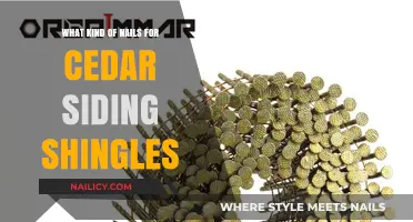 Best Nails for Cedar Siding Shingles: Types, Sizes, and Tips