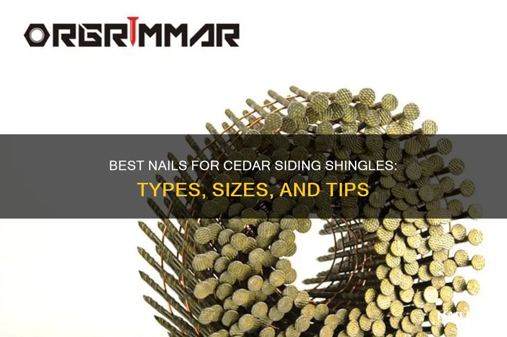 what kind of nails for cedar siding shingles
