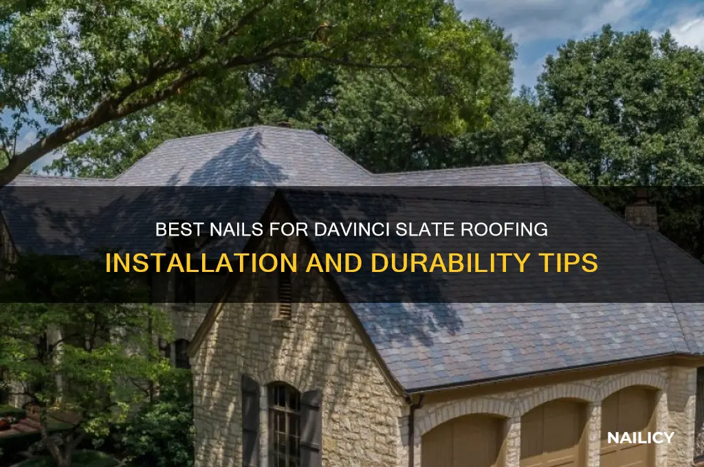 what kind of nails for davinci slate