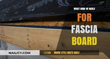 Best Nails for Fascia Board Installation: A Comprehensive Guide